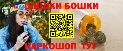 индика Гай