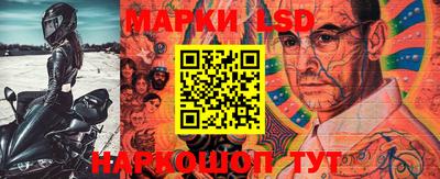 индика Гай