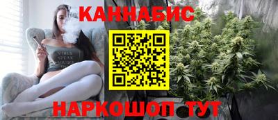 индика Гай