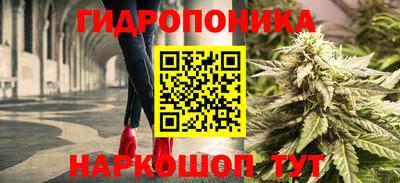 мяу мяу мука Гусев