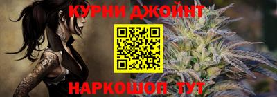 индика Гай