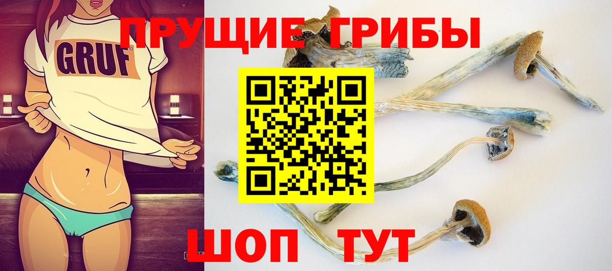 Галлюциногенные грибы мухоморы Камышлов